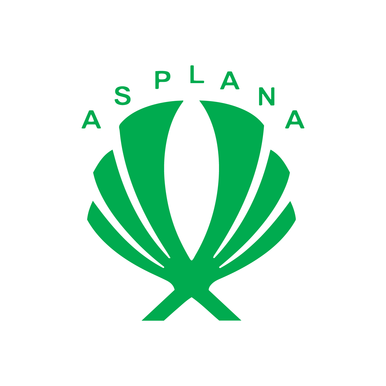 Asplana